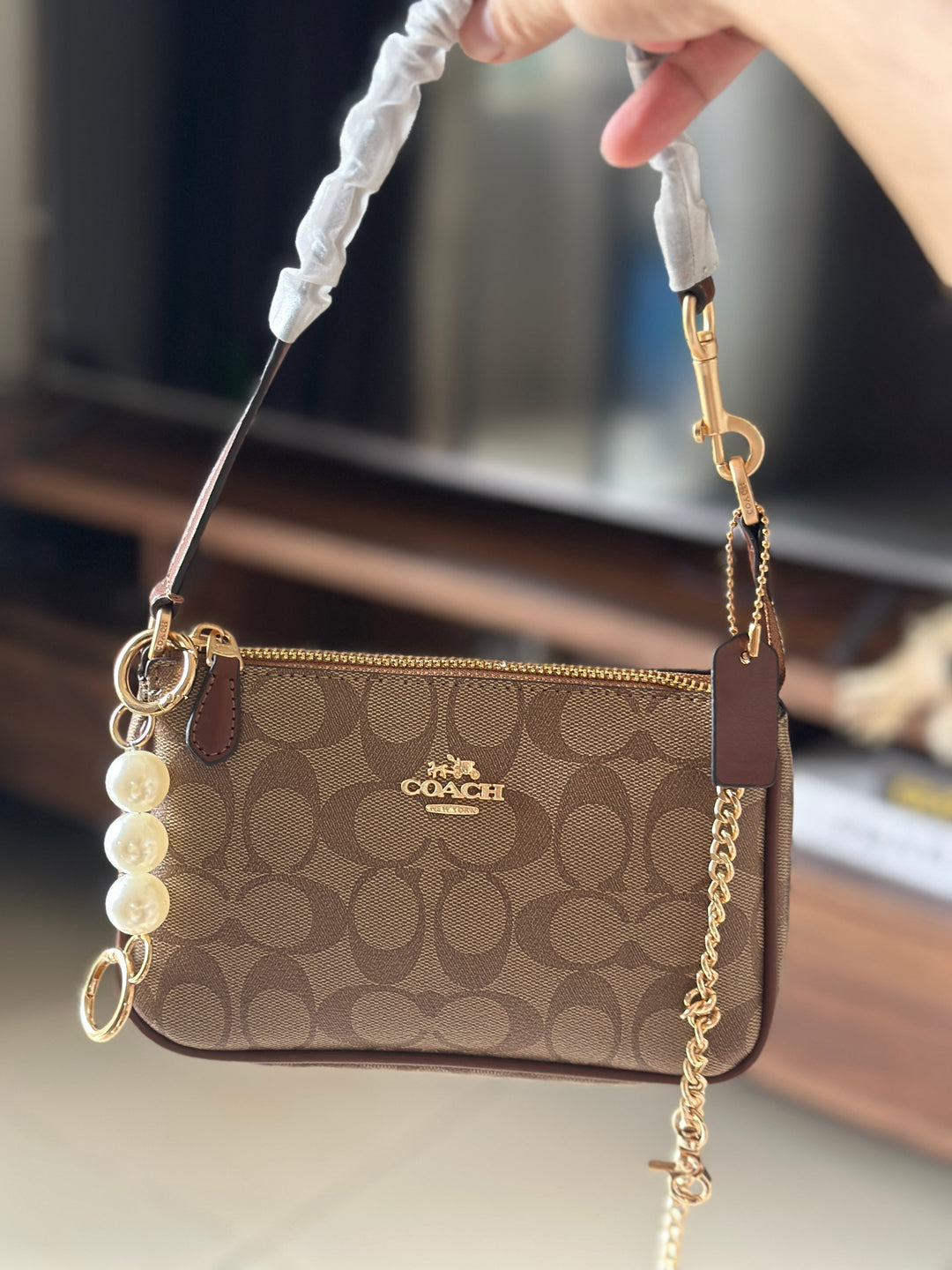 Coach teri bag