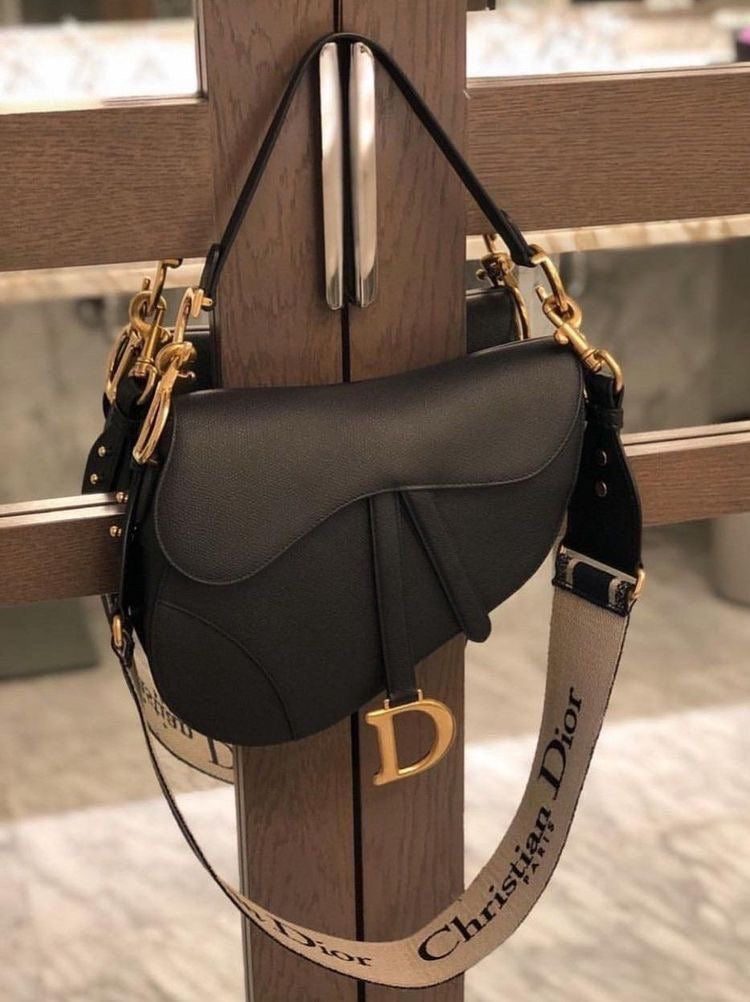 Dior saddle